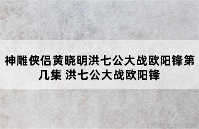 神雕侠侣黄晓明洪七公大战欧阳锋第几集 洪七公大战欧阳锋